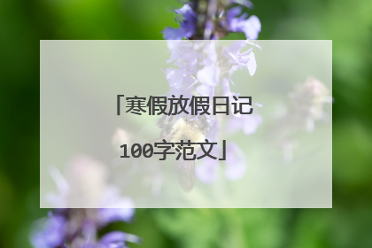 寒假放假日记100字范文