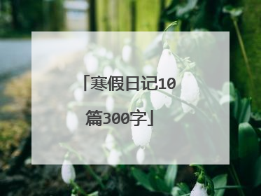 寒假日记10篇300字