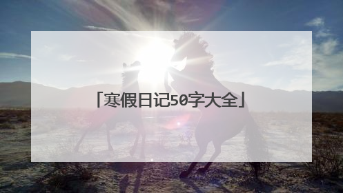 寒假日记50字大全