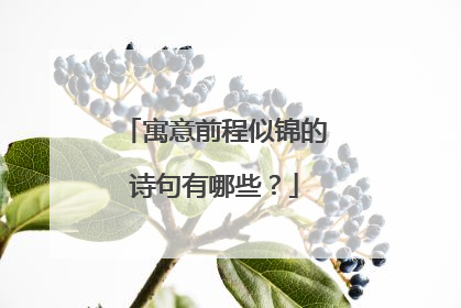 寓意前程似锦的诗句有哪些？