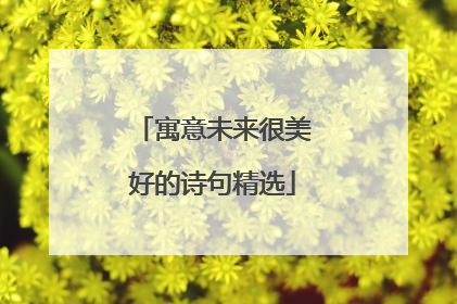 寓意未来很美好的诗句精选