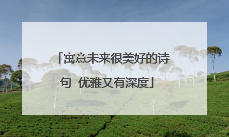 寓意未来很美好的诗句 优雅又有深度