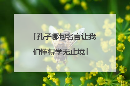 孔子哪句名言让我们懂得学无止境