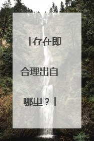 存在即合理出自哪里？