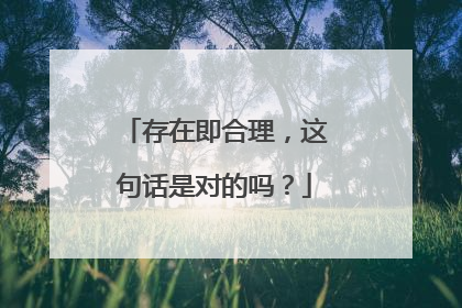 存在即合理，这句话是对的吗？