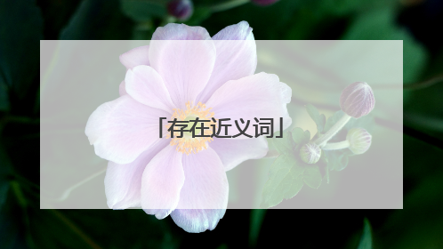 存在近义词