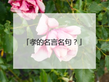 孝的名言名句?
