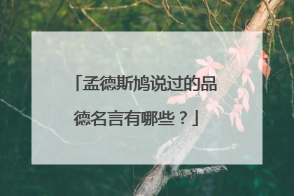孟德斯鸠说过的品德名言有哪些？