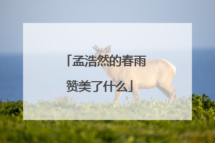 孟浩然的春雨赞美了什么