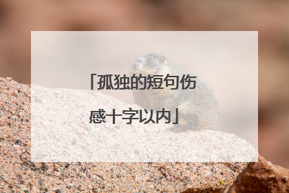 孤独的短句伤感十字以内