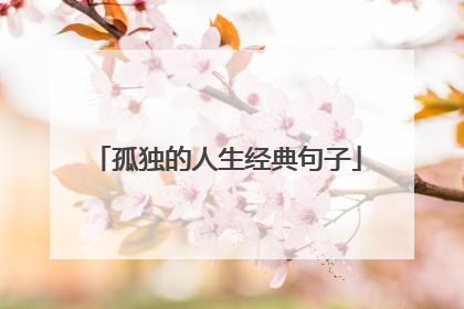 孤独的人生经典句子