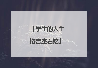 学生的人生格言座右铭