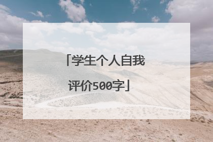 学生个人自我评价500字