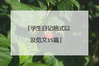 学生日记格式以及范文15篇