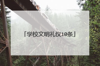 学校文明礼仪10条