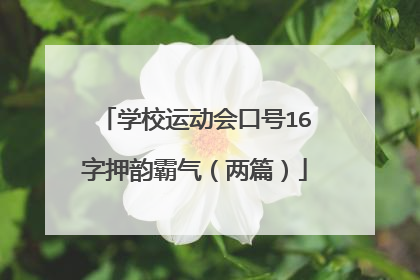 学校运动会口号16字押韵霸气（两篇）