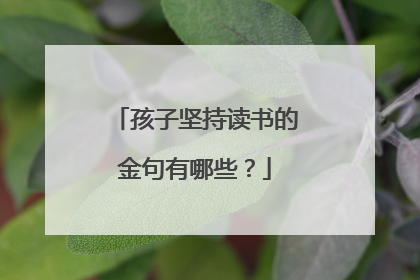 孩子坚持读书的金句有哪些？