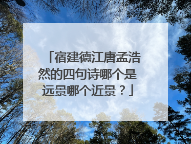 宿建德江唐孟浩然的四句诗哪个是远景哪个近景?