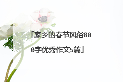 家乡的春节风俗800字优秀作文5篇