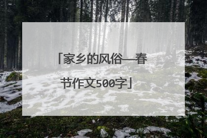 家乡的风俗——春节作文500字