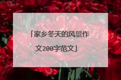 家乡冬天的风景作文200字范文