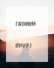 家国情怀的句子