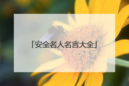 安全名人名言大全