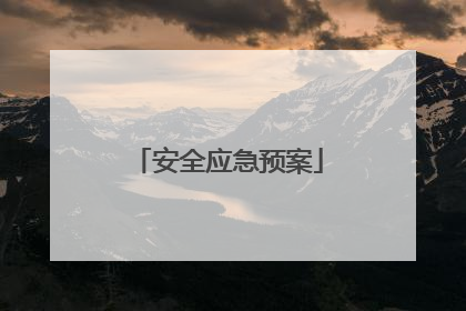 安全应急预案