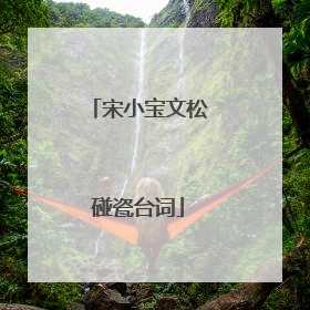 宋小宝文松碰瓷台词