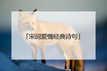 宋词爱情经典诗句