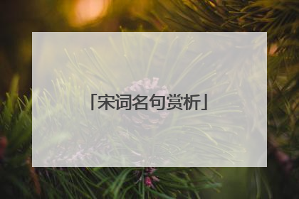 宋词名句赏析