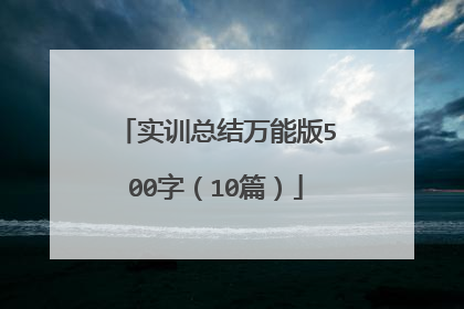 实训总结万能版500字（10篇）