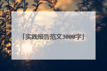 实践报告范文3000字