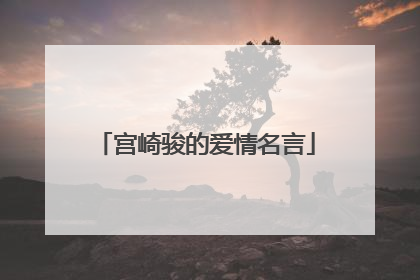 宫崎骏的爱情名言