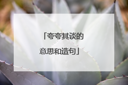 夸夸其谈的意思和造句