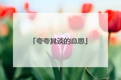 夸夸其谈的意思
