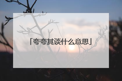 夸夸其谈什么意思