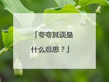 夸夸其谈是什么意思?