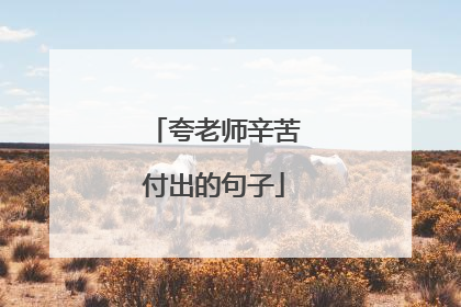 夸老师辛苦付出的句子