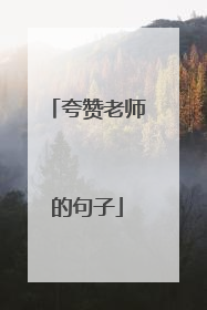 夸赞老师的句子