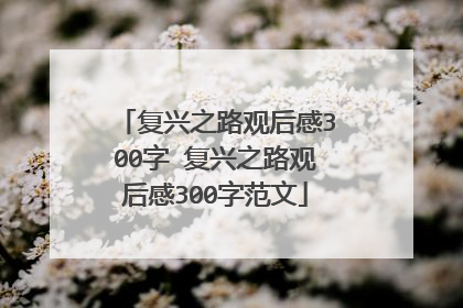 复兴之路观后感300字 复兴之路观后感300字范文