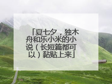 夏七夕,独木舟和乐小米的小说(长短篇都可以)黏贴上来