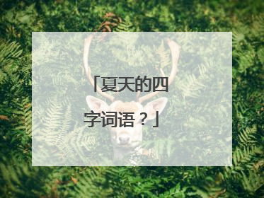 夏天的四字词语？