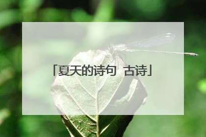 夏天的诗句 古诗