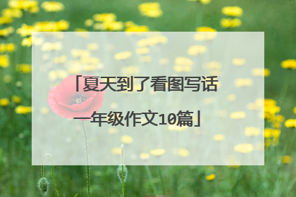 夏天到了看图写话一年级作文10篇