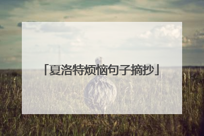 夏洛特烦恼句子摘抄