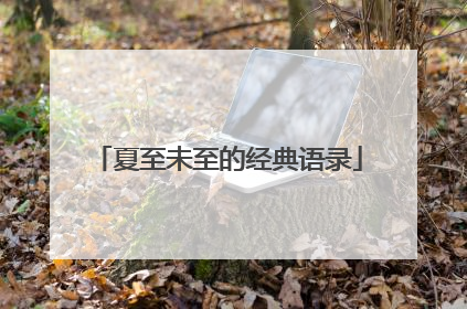 夏至未至的经典语录
