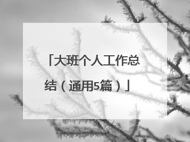 大班个人工作总结（通用5篇）