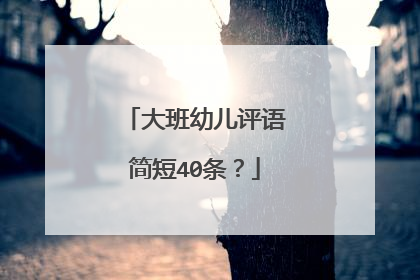 大班幼儿评语简短40条?
