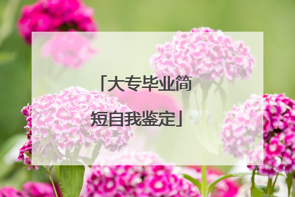 大专毕业简短自我鉴定